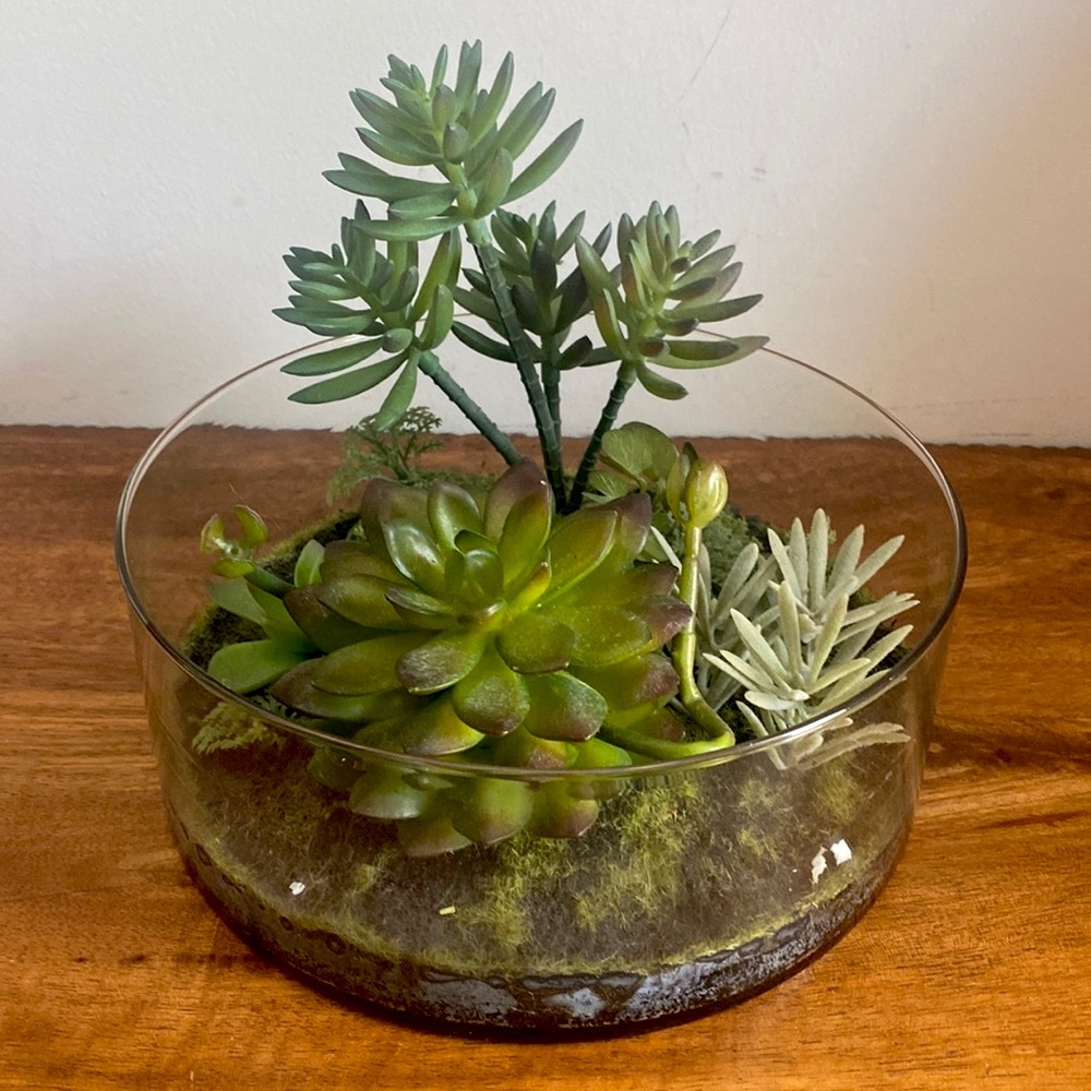 Target Threshold. Succulents in terrarium Glass bowl arrangement.